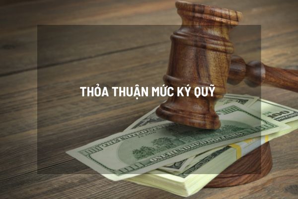 thuviennhadat.vn