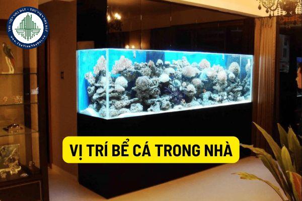 Vị trí đặt bể cá trong nhà và những điều cần tránh khi đặt bể cá trong nhà giúp thu hút vượng khí