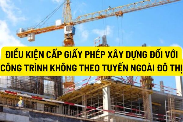 thuviennhadat.vn