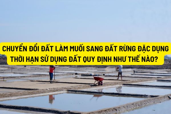 Chuyển đổi đất làm muối sang đất rừng đặc dụng thì thời hạn sử dụng đất quy định như thế nào? 