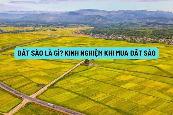 Đất sào là gì? Kinh nghiệm khi mua đất sào