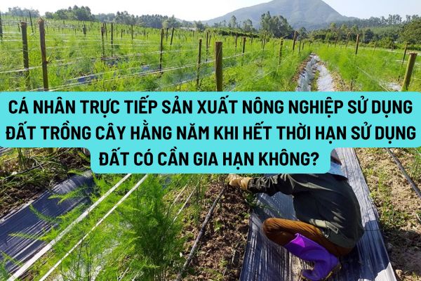 Cá nhân trực tiếp sản xuất nông nghiệp sử dụng đất trồng cây hằng năm khi hết thời hạn sử dụng đất có cần gia hạn không? 