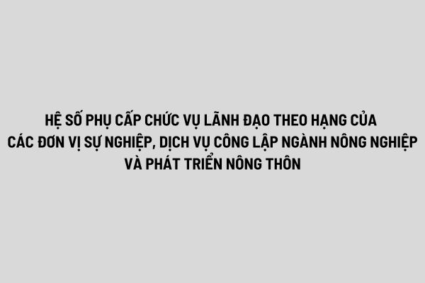 thuviennhadat.vn