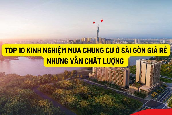 Top 10 kinh nghiệm mua chung cư ở Sài Gòn giá rẻ nhưng vẫn chất lượng 