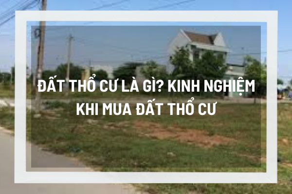 thuviennhadat.vn