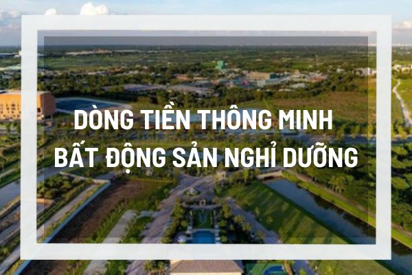 Dòng tiền thông minh tìm đến bất động sản nghỉ dưỡng, lý do dòng tiền cuối năm đổ về kênh đầu tư này