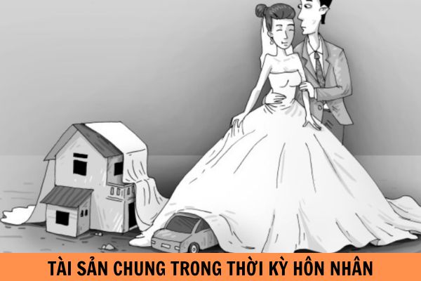 thuviennhadat.vn