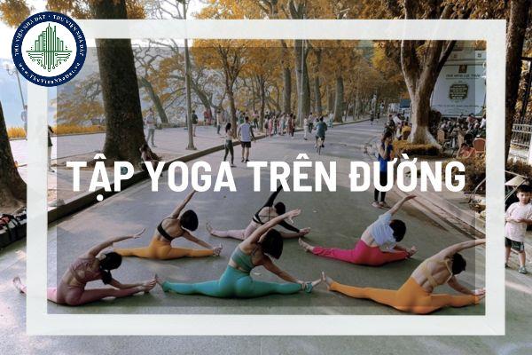 Vì sao một số người thích tập yoga ở nơi công cộng? Tập Yoga nơi công cộng có vi phạm pháp luật? 