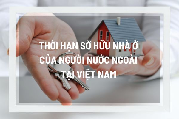 thuviennhadat.vn