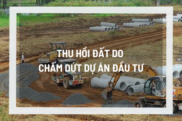 thuviennhadat.vn