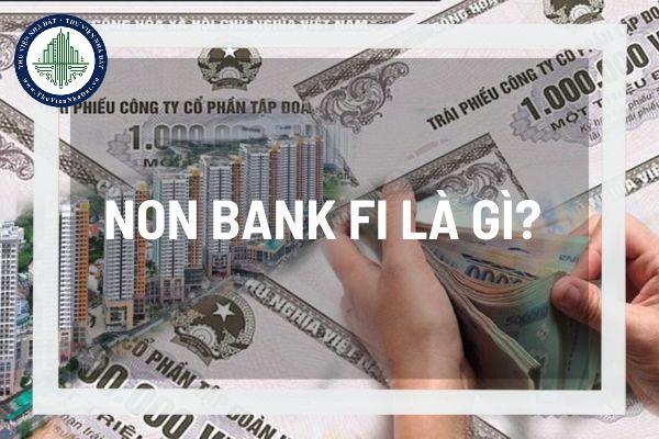 Non Bank Fi là gì? Trung gian tài chính phi ngân hàng có vai trò gì trong nền kinh tế? 