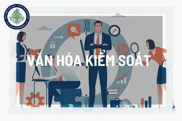 Văn hóa kiểm soát là gì? Hệ thống kiểm soát nội bộ của tổ chức tín dụng phi ngân hàng được quy định ra sao? 