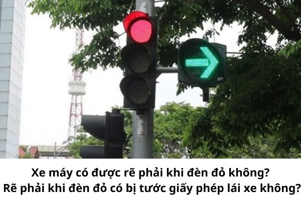 Xe máy có được rẽ phải khi đèn đỏ không? Rẽ phải khi đèn đỏ có bị tước giấy phép lái xe không?