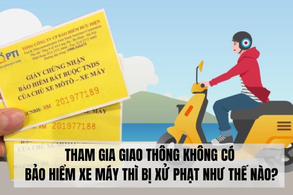 Tham gia giao thông không có bảo hiểm xe máy có bị xử phạt như thế nào?