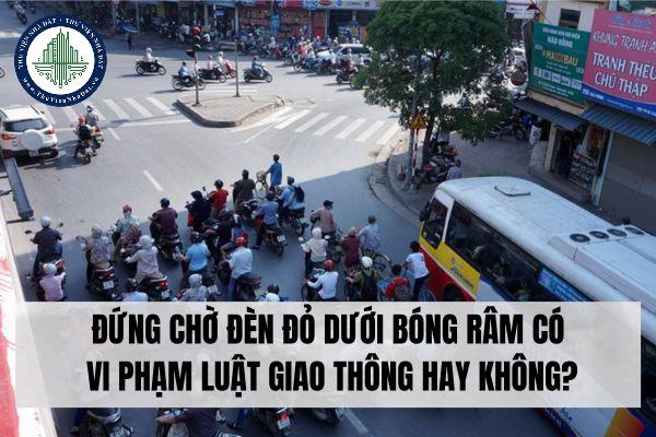 Đứng chờ đèn đỏ dưới bóng râm có bị vi phạm luật giao thông hay không?