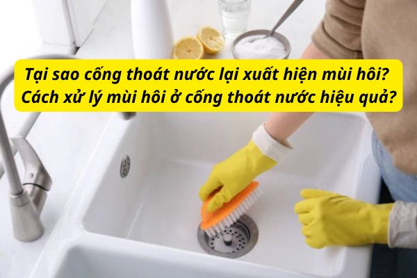 Tại sao cống thoát nước lại xuất hiện mùi hôi? Cách xử lý mùi hôi ở cống thoát nước hiệu quả?