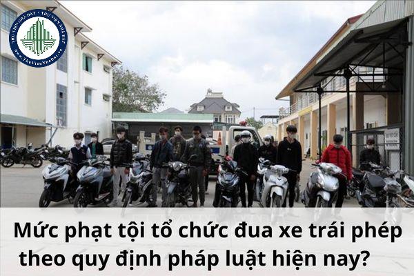 Mức phạt tội tổ chức đua xe trái phép theo quy định pháp luật hiện nay?