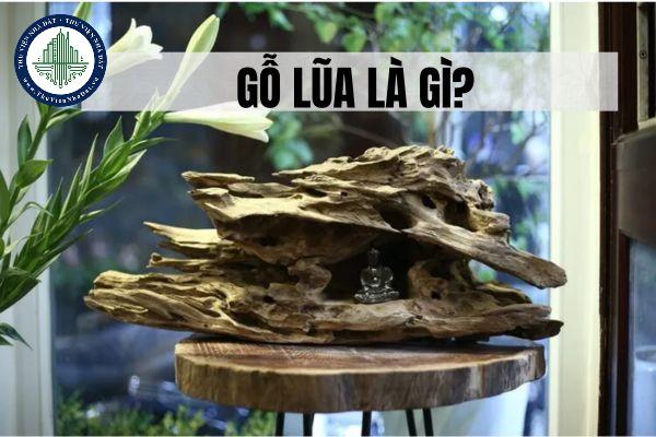 Gỗ lũa là gì? Ứng dụng của gỗ lũa trong thiết kế nội thất?