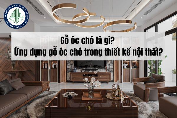 Gỗ óc chó là gì? Ứng dụng gỗ óc chó trong thiết kế nội thất?