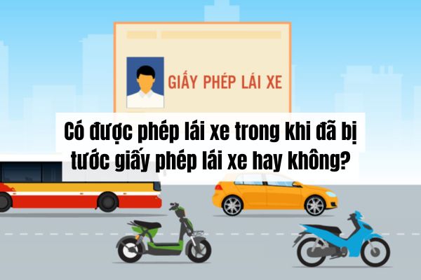 Có được phép lái xe trong khi đã bị tước giấy phép lái xe hay không?