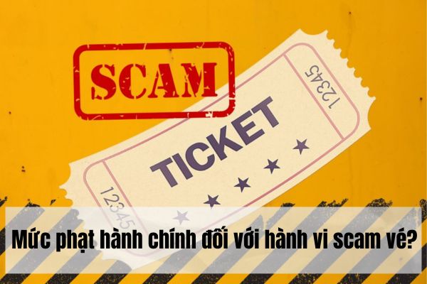 Scam vé là gì? Mức phạt hành chính đối với hành vi scam vé? 