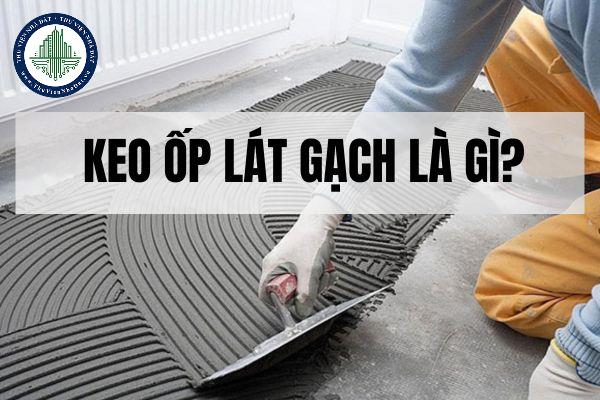 Keo ốp lát gạch là gì? Lợi ích khi sử dụng keo ốp lát gạch trong thiết kế hiện đại?