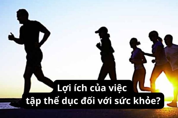 Lợi ích của việc tập thể dục đối với sức khỏe?