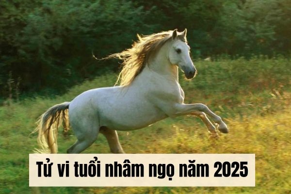 Tử vi tuổi nhâm ngọ năm 2025