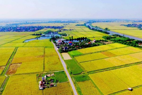 Chuyển đất sản xuất, kinh doanh phi nông nghiệp sang đất thương mại, dịch vụ có cần xin phép cơ quan có thẩm quyền hay không?