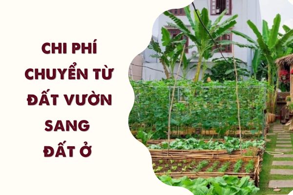 thuviennhadat.vn