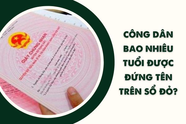 Công dân từ bao nhiêu tuổi được đứng tên sổ đỏ? (Hình từ internet)