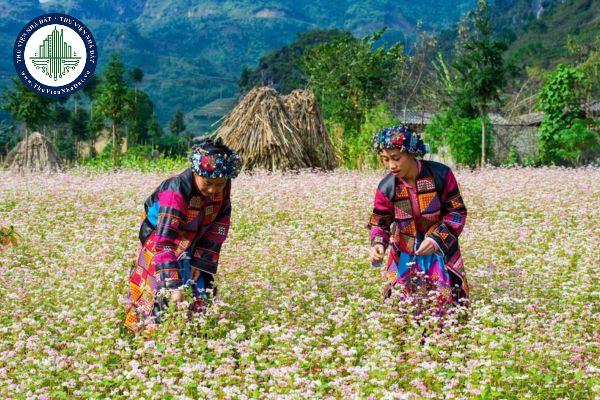 Quỹ đất để thực hiện chính sách hỗ trợ đất đai đối với đồng bào dân tộc thiểu số thuộc diện hộ nghèo, hộ cận nghèo trên địa bàn tỉnh Hà Giang (Hình từ internet)