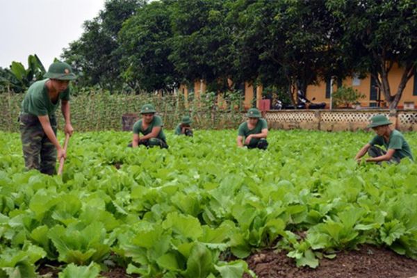 Đối tượng nào được sử dụng đất quốc phòng, an ninh kết hợp với hoạt động lao động sản xuất, xây dựng kinh tế? 