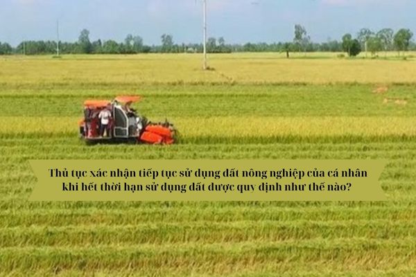 Thủ tục xác nhận tiếp tục sử dụng đất nông nghiệp của cá nhân khi hết thời hạn sử dụng đất được quy định như thế nào? 