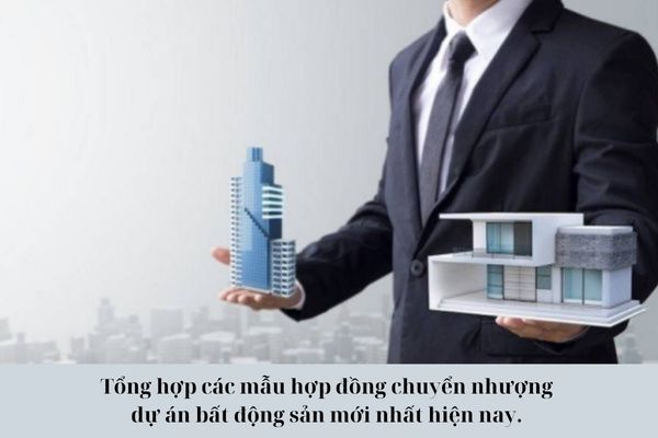 Tổng hợp các mẫu hợp đồng chuyển nhượng dự án bất động sản mới nhất hiện nay. 