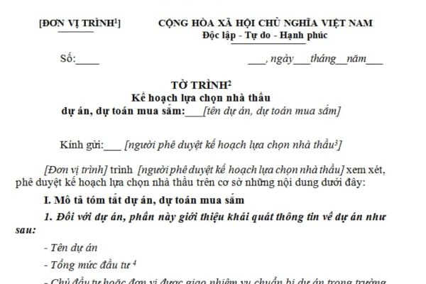 Mẫu 02A Tờ trình kế hoạch lựa chọn nhà thầu theo Thông tư 06?