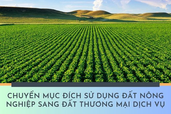 Chuyển mục đích sử dụng đất nông nghiệp sang đất thương mại dịch vụ thì có phải là mất đất và phải thuê đất hay không?