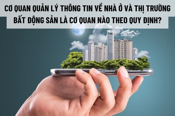 thuviennhadat.vn