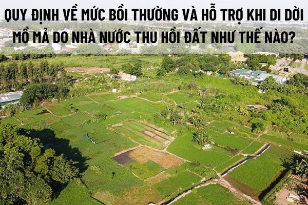 thuviennhadat.vn