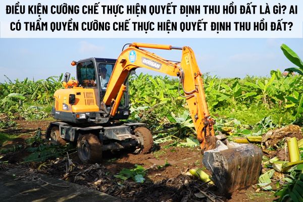 thuviennhadat.vn