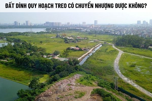 Đất dính quy hoạch treo là gì? Trách nhiệm báo cáo kết quả thực hiện quy hoạch sử dụng đất được quy định ra sao?