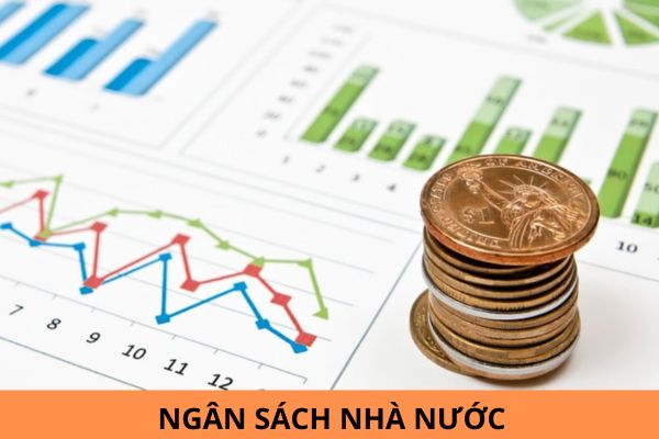 Mẫu C2-02a/NS giấy rút dự toán ngân sách nhà nước? Lập dự toán ngân sách nhà nước hằng năm dự trên các căn cứ nào? 