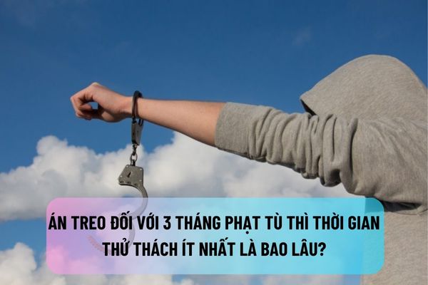 thuviennhadat.vn