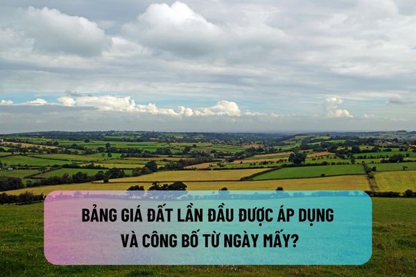 Bảng giá đất lần đầu được áp dụng và công bố từ ngày mấy? Có được thuê tổ chức tư vấn xác định giá đất để tư vấn thẩm định bảng giá đất?