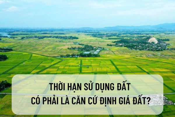 thuviennhadat.vn