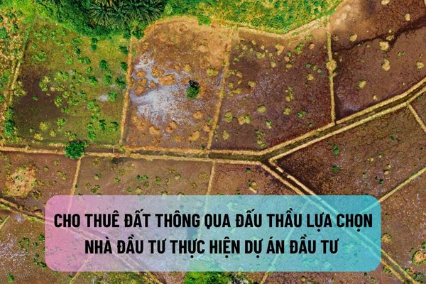 Cho thuê đất thông qua đấu thầu lựa chọn nhà đầu tư thực hiện dự án đầu tư có sử dụng đất trong những trường hợp nào?