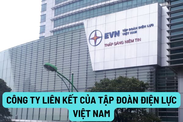 Công ty liên kết của Tập đoàn Điện lực Việt Nam được quy định thế nào? Nghĩa vụ trong kinh doanh của Tập đoàn Điện lực Việt Nam là gì?