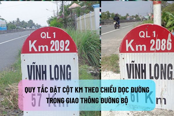 thuviennhadat.vn