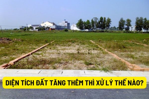 Diện tích đất tăng thêm thêm nhiều so với diện tích đất trên sổ đỏ thì xử lý như thế nào theo quy định mới nhất?