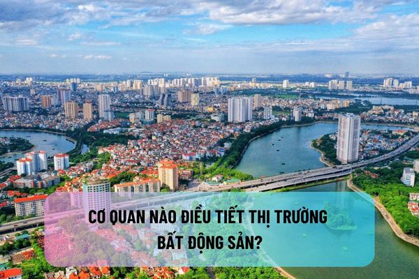 Cơ quan nào điều tiết thị trường bất động sản? Khi nào nhà nước thực hiện điều tiết thị trường bất động sản?